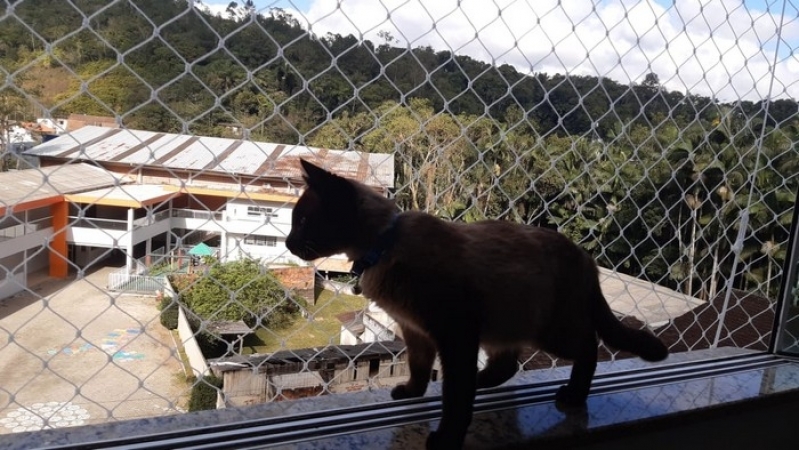 Comprar Tela para Gatos Muro São João do Itaperiu - Tela Proteção Janela Gatos