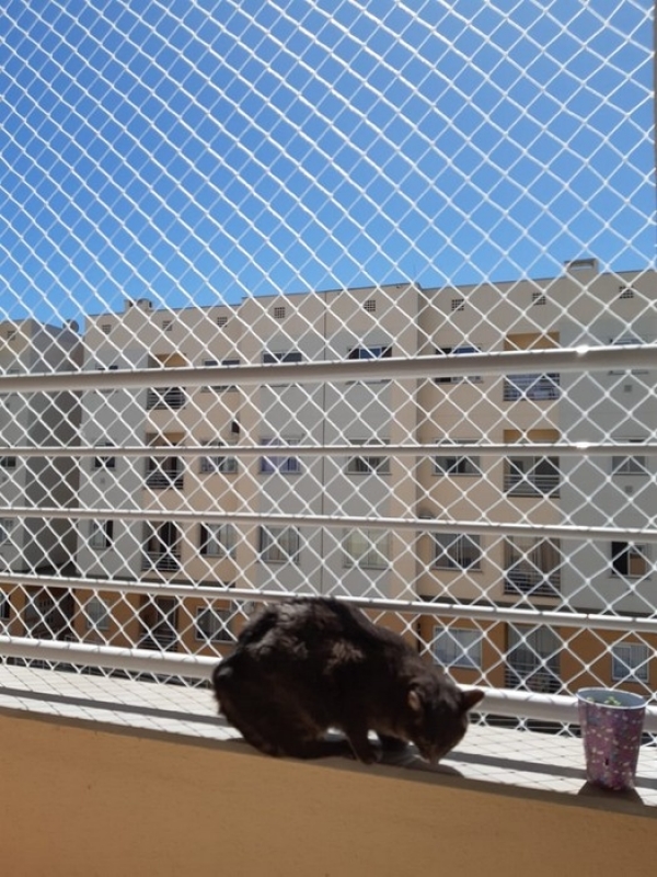 Redes Protetoras para Gatos Morretes - Rede de Proteção Invisível