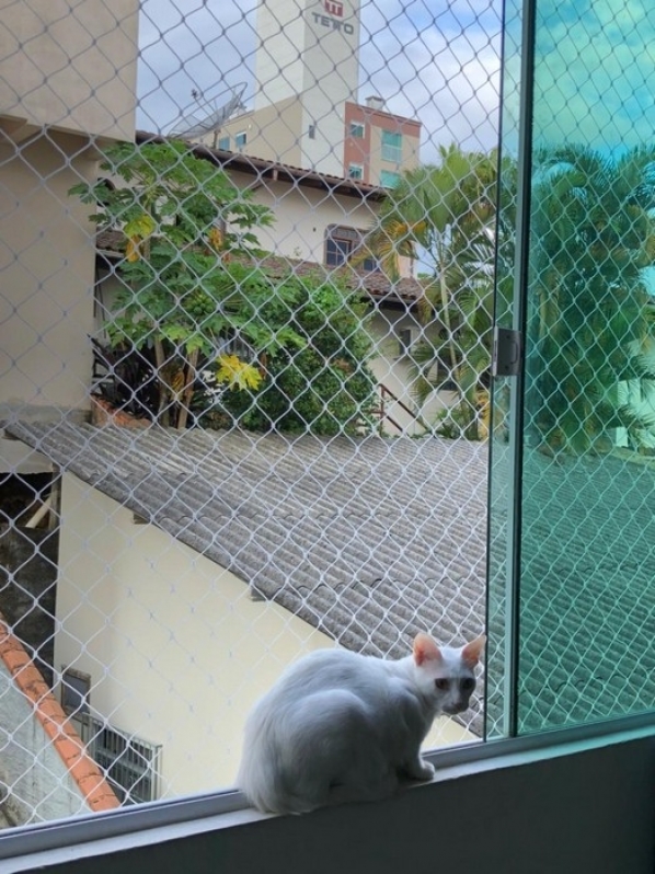 Tela de Janela para Gatos Itapema - Tela para Gatos Muro