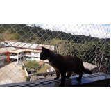 conserto de tela de segurança para gatos Ibirama