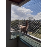 rede de janela para gatos valor Valparaíso
