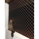 rede de janela para gatos Baixo Canoas