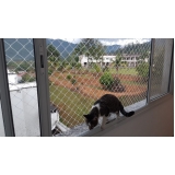 rede de proteção para gatos janela Braço Paula Ramos