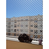redes de janela para gatos Nova Trento