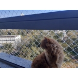 redes para gatos janela Araquari